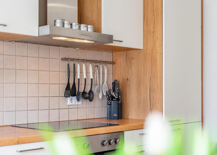 Nussbaumer S Apartment Niedernsill